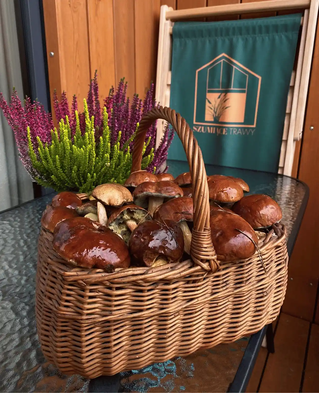 Home Grzybobrania